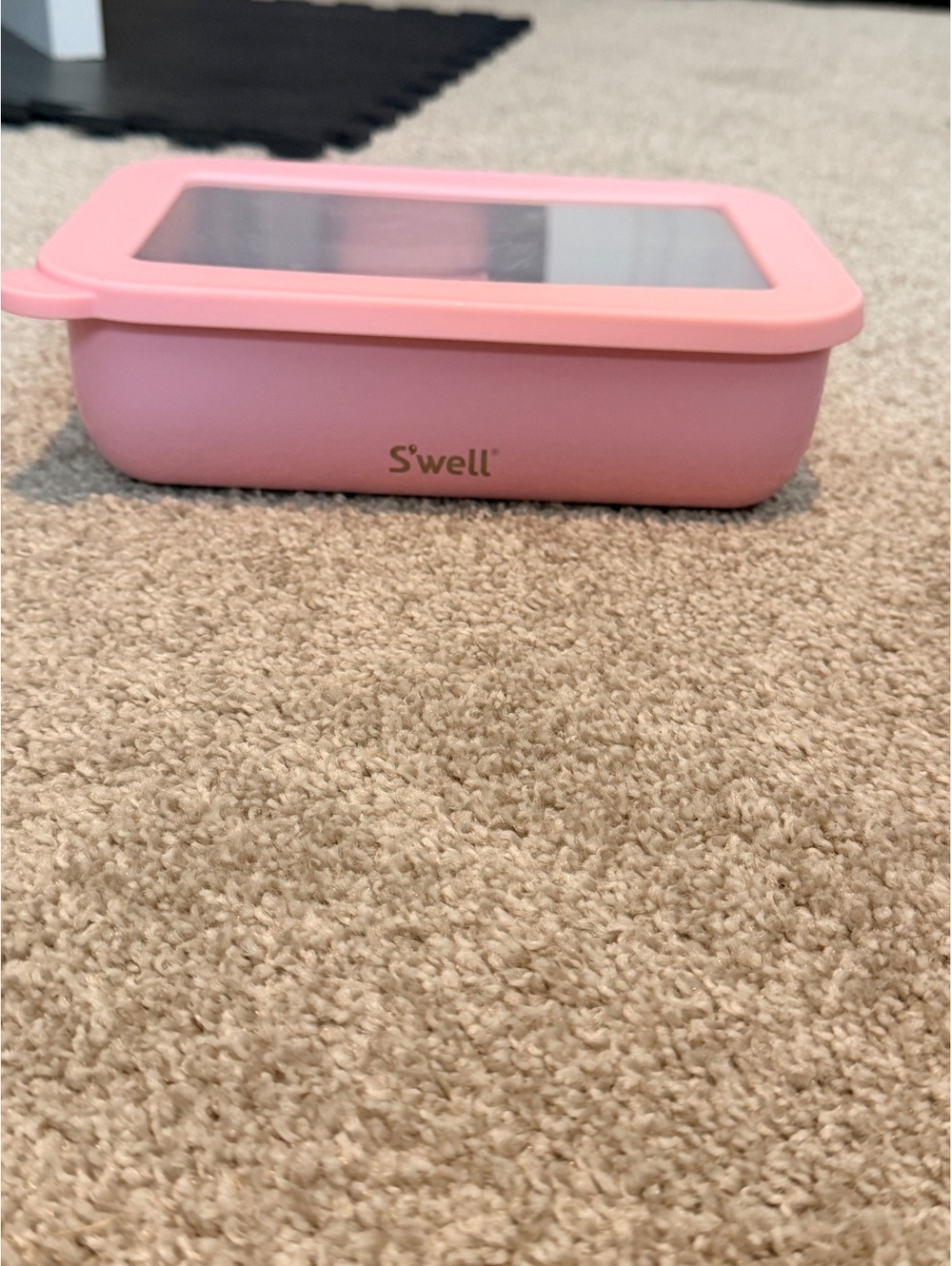 S'well pink stainless steel divided lunch container